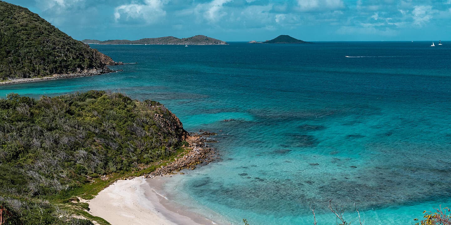 Caribbean Flavours