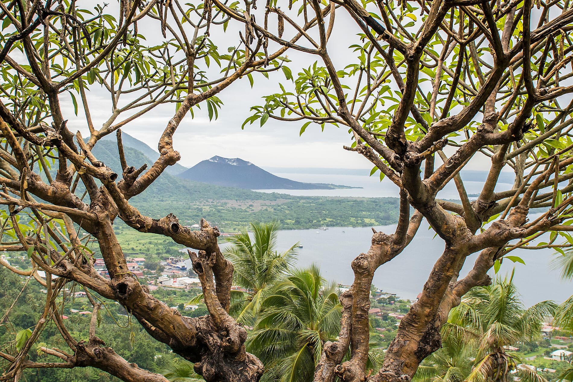 From Fiji to Micronesia 