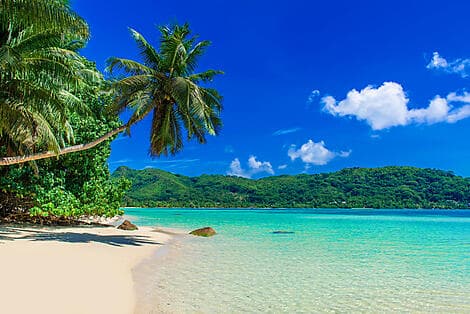 18 Dec 26 - Anse à la Mouche
