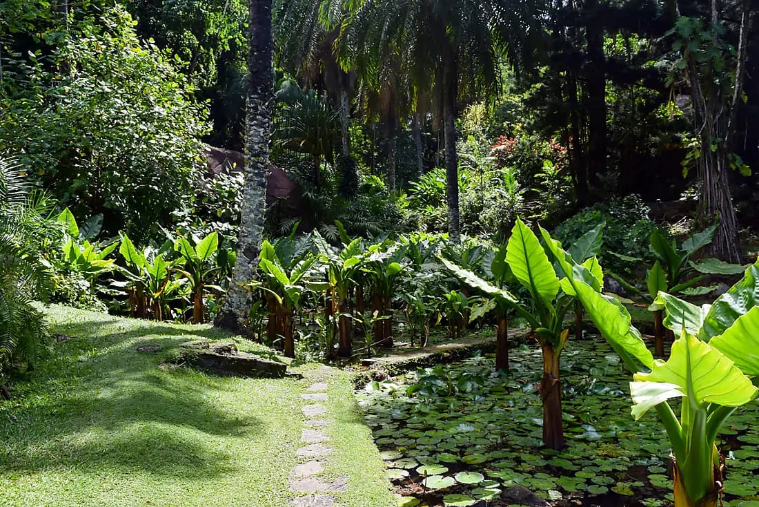 DISCOVER MAHE (1 NIGHT)