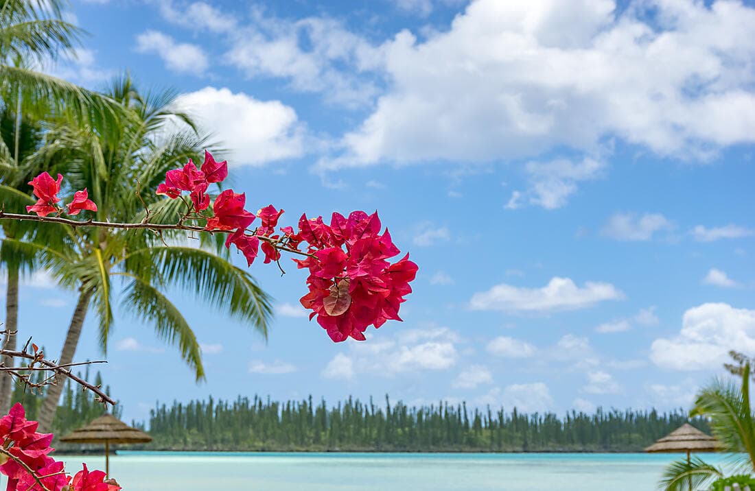 RELAX AND DISCOVER NOUMEA (1 NIGHT)