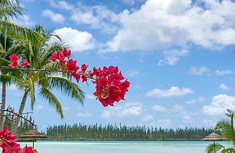 RELAX AND DISCOVER NOUMEA (1 NIGHT)
