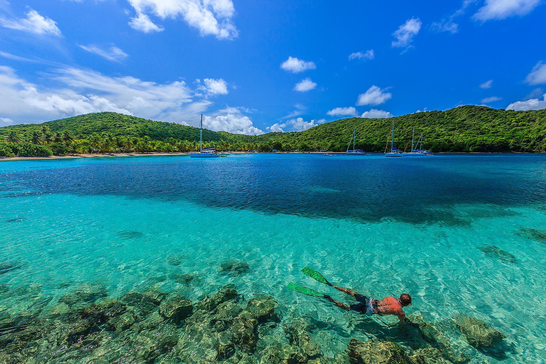 Wonders of the Caribbean 