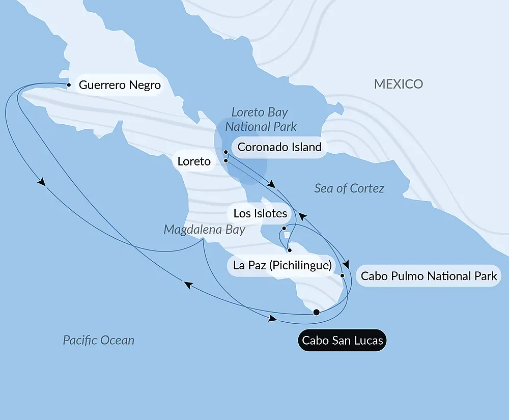 Baja and the Sea of Cortez: In Search of the Great Whales – with Smithsonian Journeys