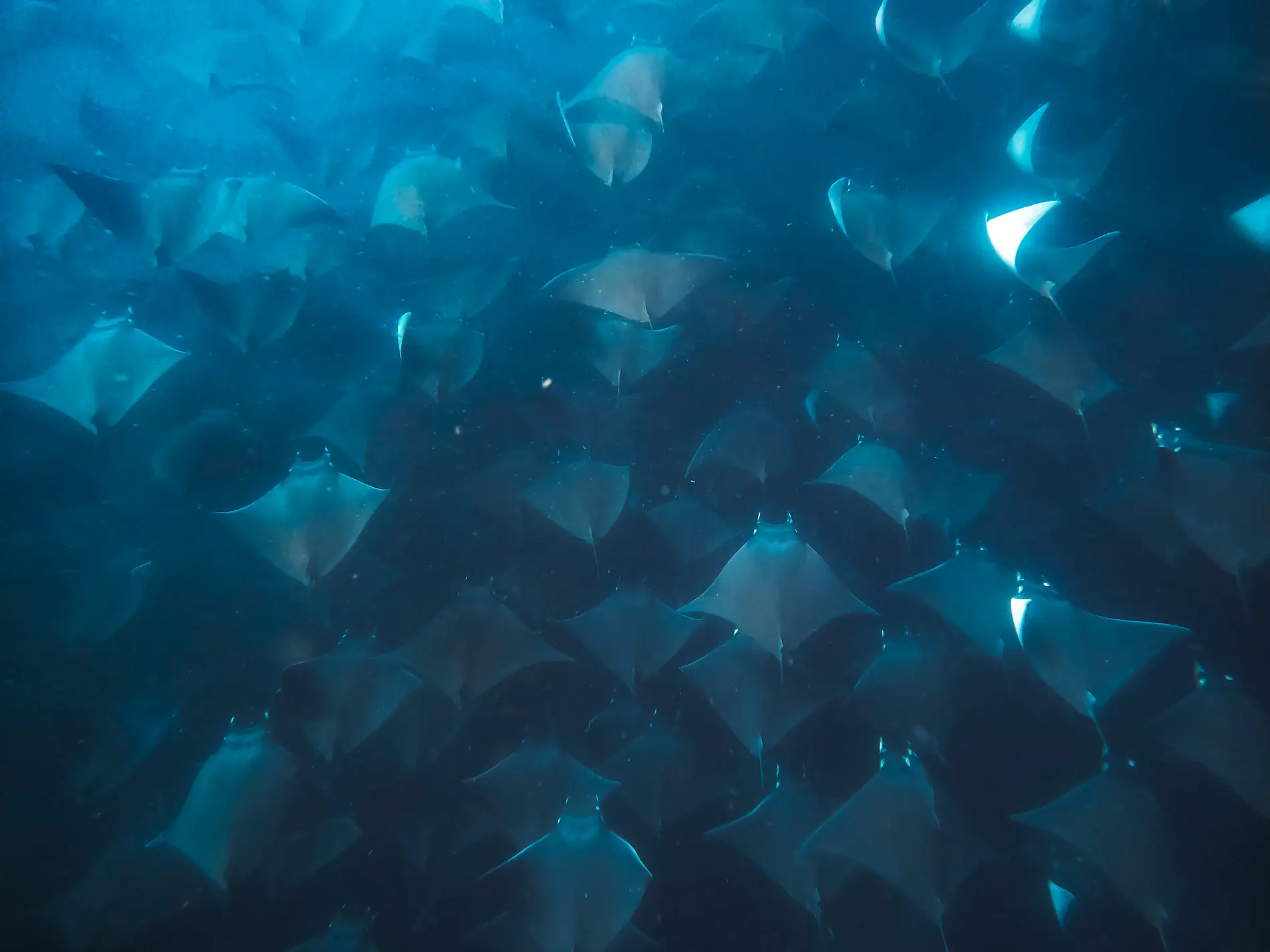 Exploration in the Heart of Baja California 
