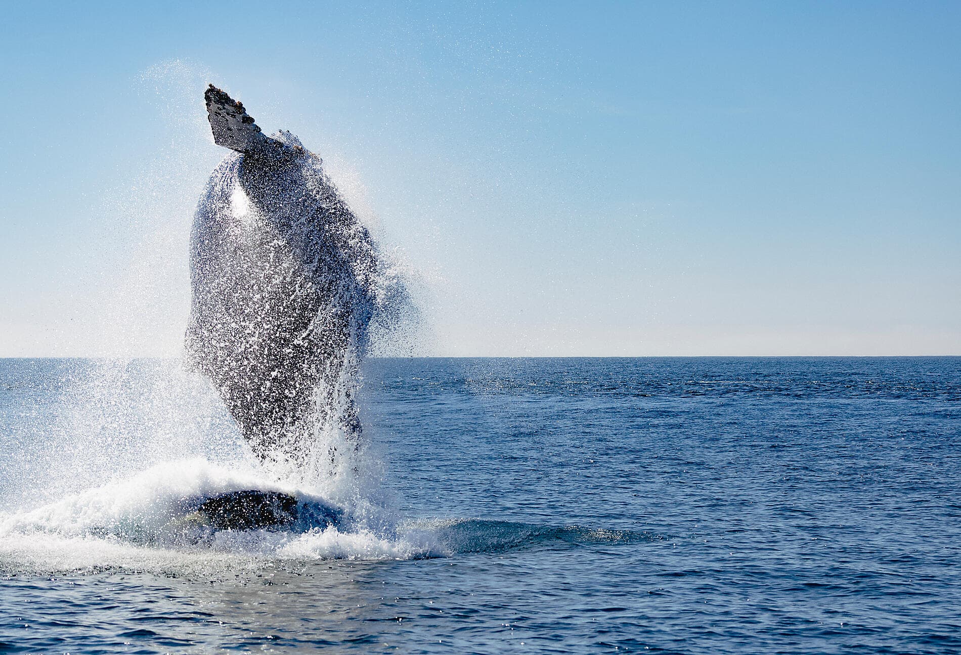 Exploration in the Heart of Baja California 