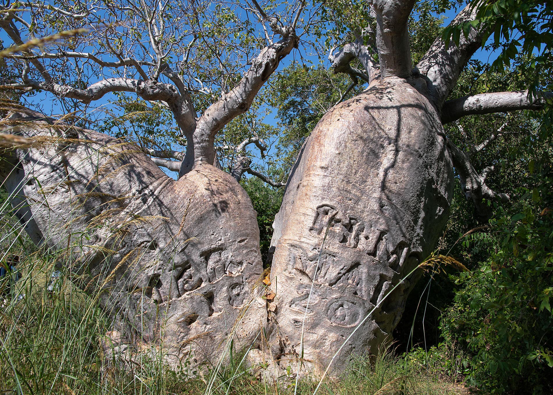Australia's Iconic Kimberley 