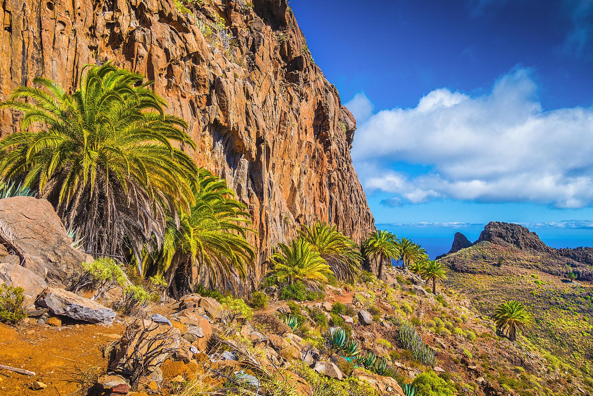 The Canaries, lands of contrast 
