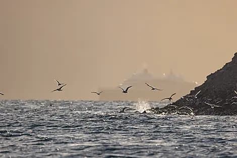 3 Sept 25 - Strezelecki Harbour
