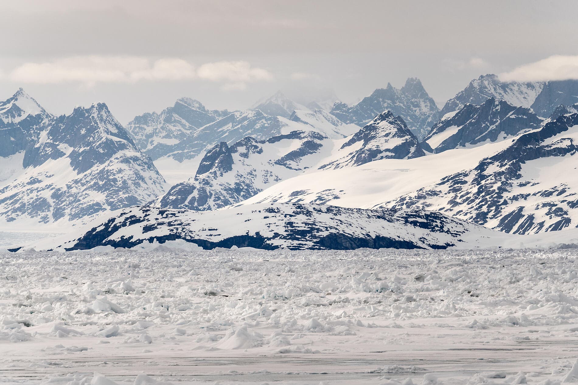 Northeast Greenland's unexplored sea ice 