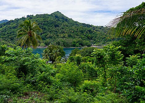 4 Nov 25 - Samarai Island