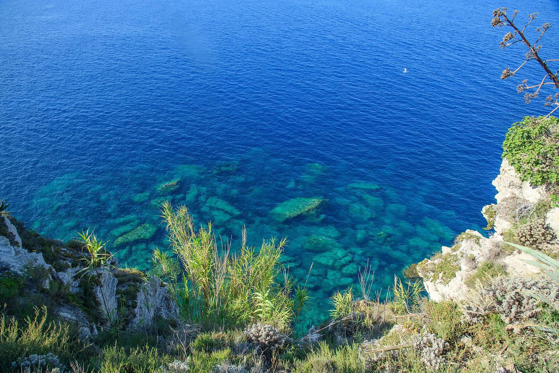 Isle of Beauty and Iberian shores 