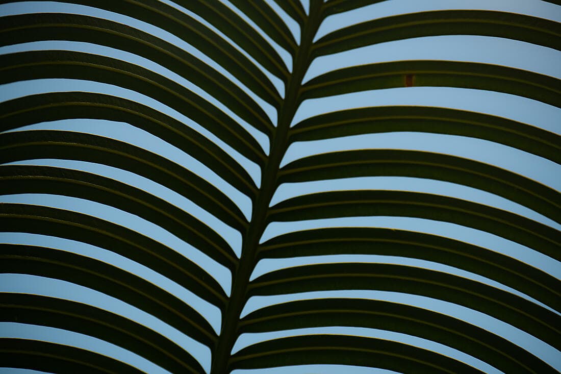 Relaxing stay in Fiji Islands (1 night)