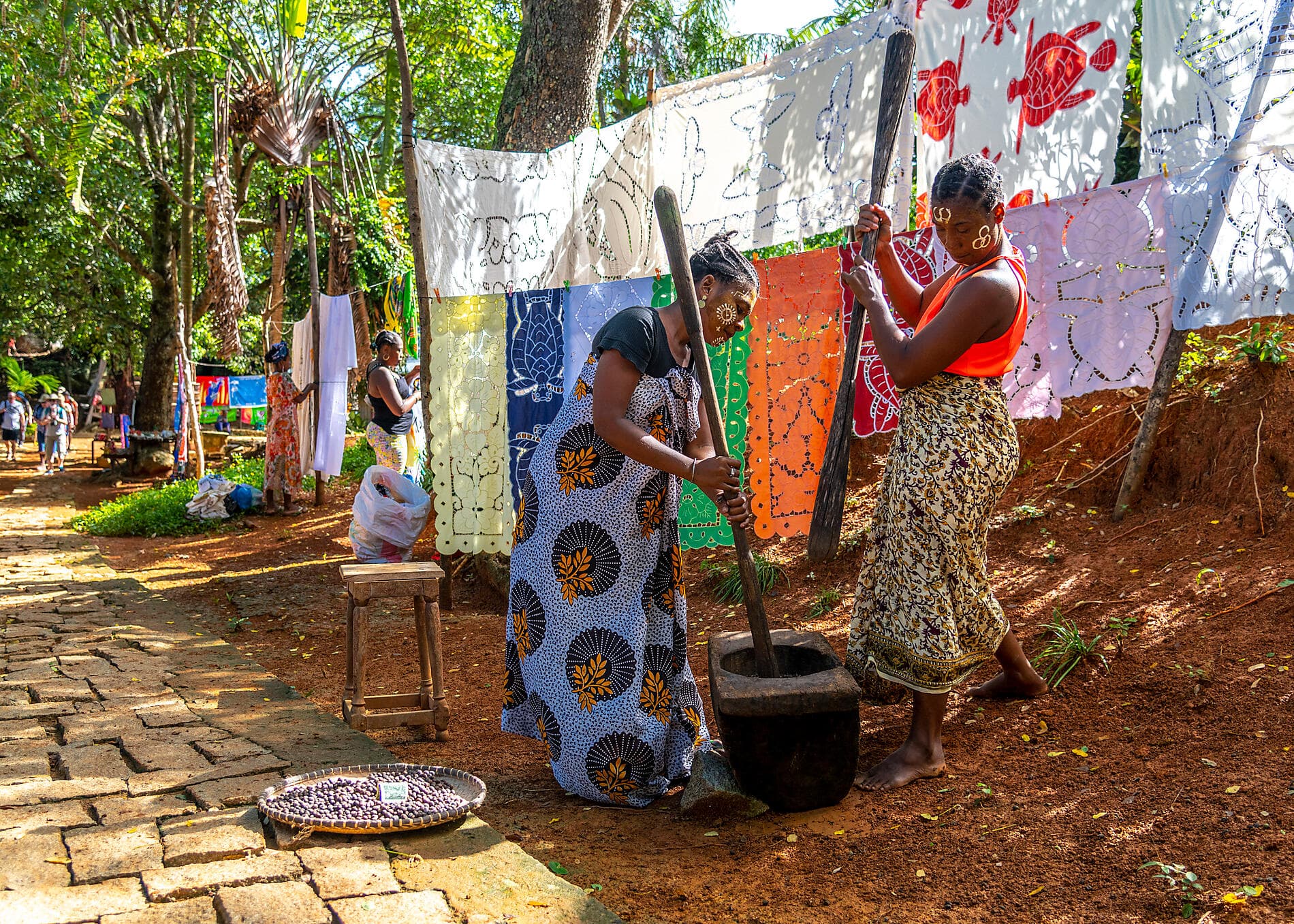 Madagascar & South Africa