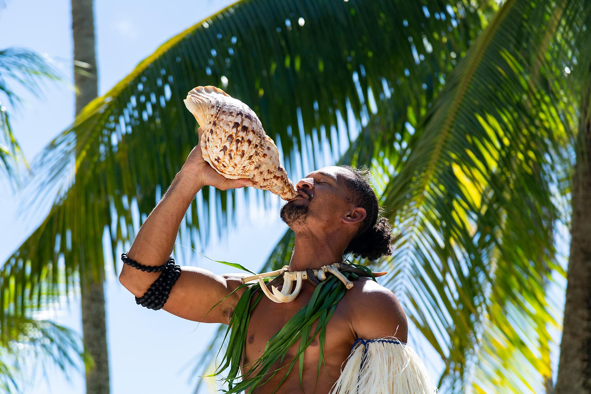 Cook Islands & Society Islands  