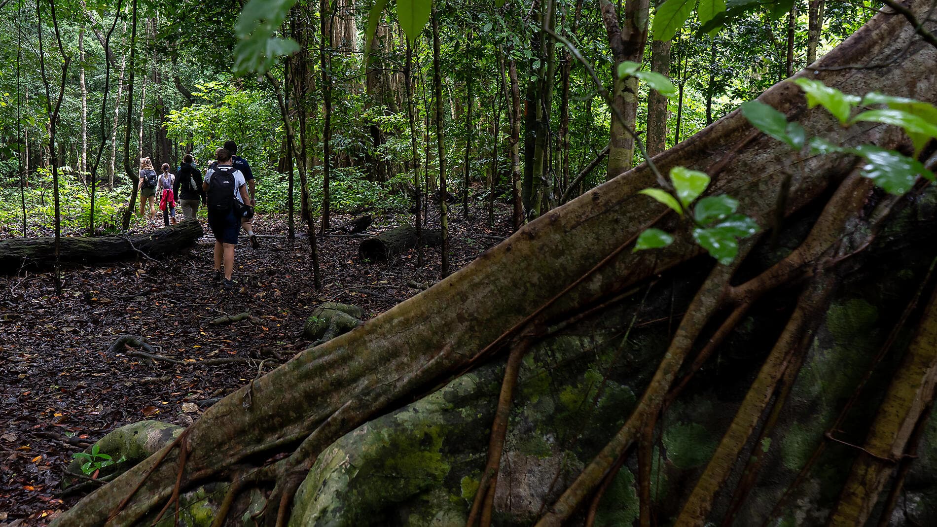 Islands, cities and volcanoes of Indonesia  