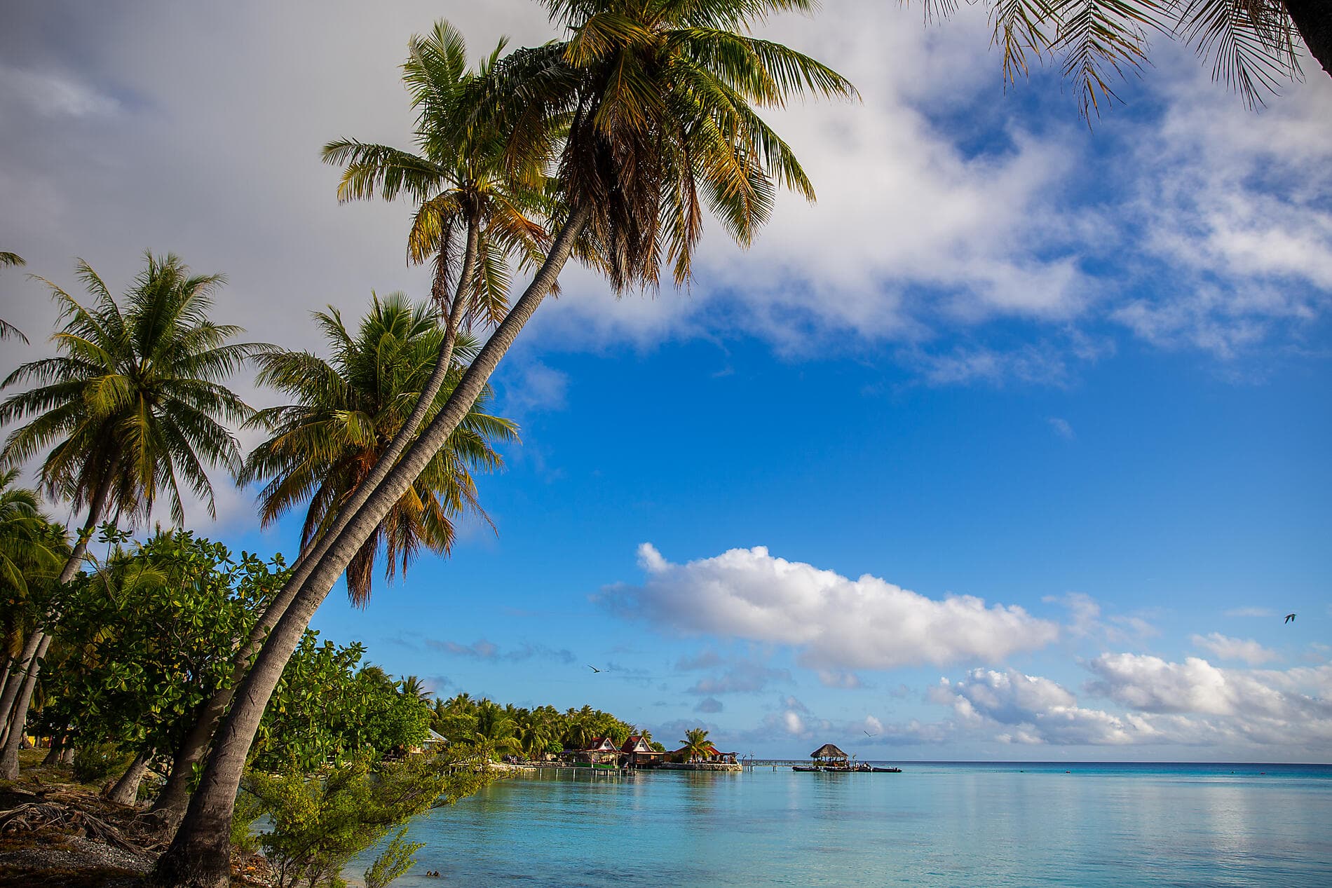 Secret Polynesia: Unexplored Tuamotu, the Gambier Islands and the Austral Islands 