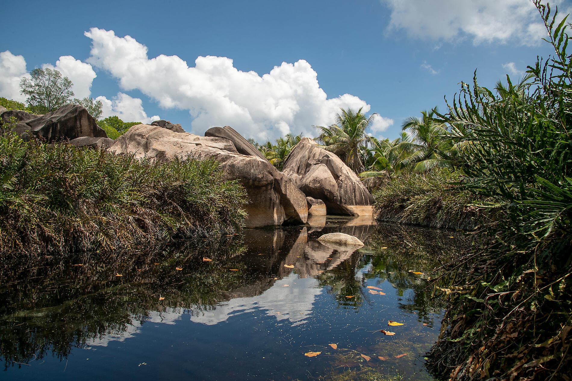 Madagascar and Seychelles: Natural Treasures of the Indian Ocean – with Smithsonian Journeys 