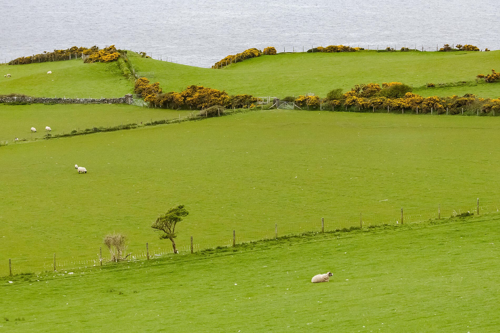 From Ireland to Scotland: A Journey through Celtic Lands