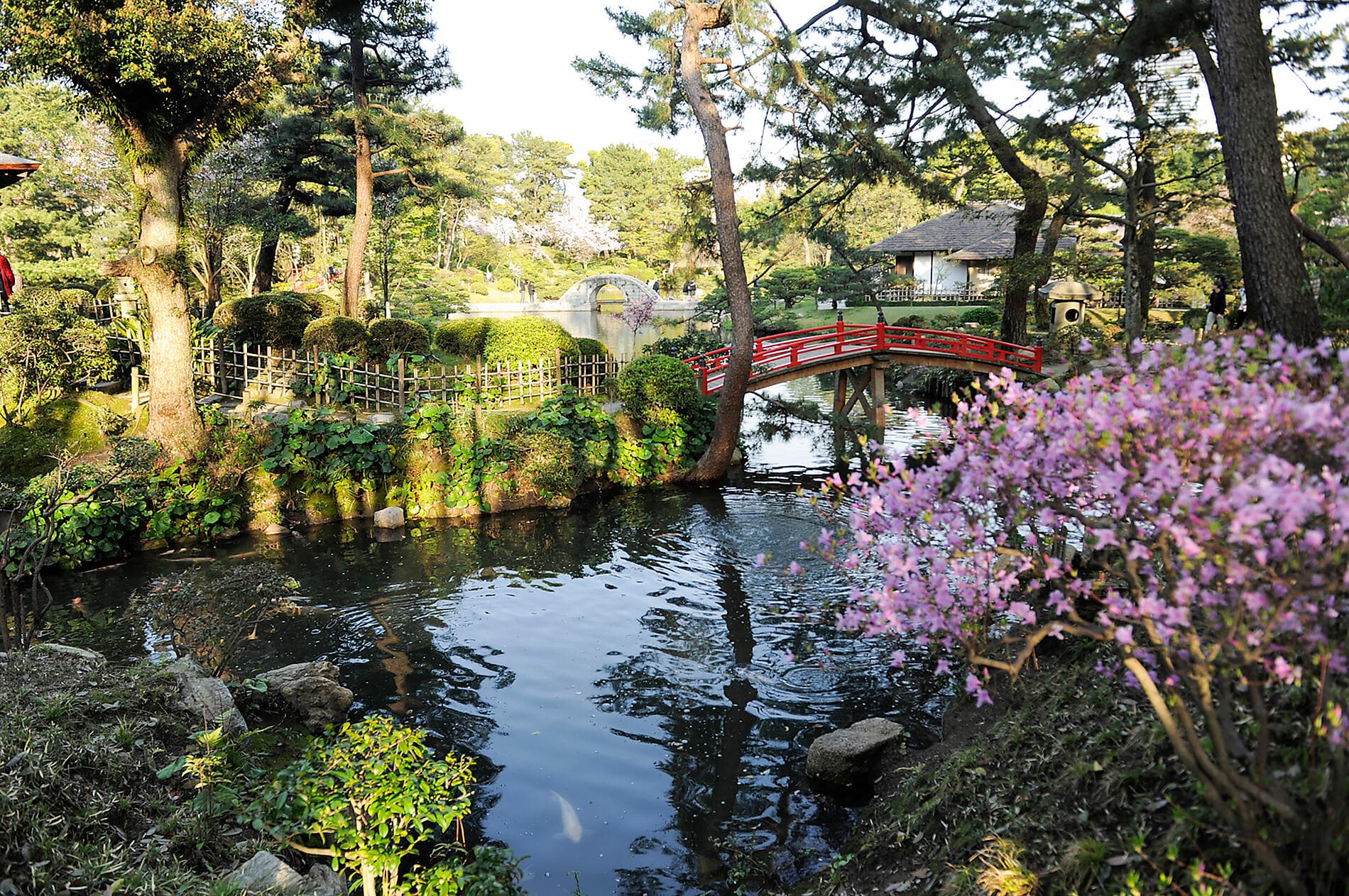 Treasures of Japan and South Korea by Sea – with Smithsonian Journeys 