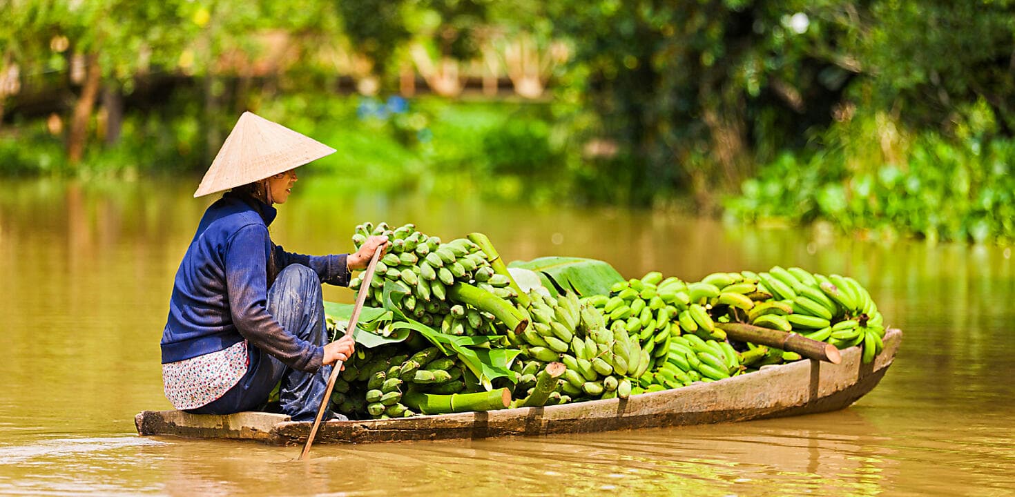 Vietnamese Shores 