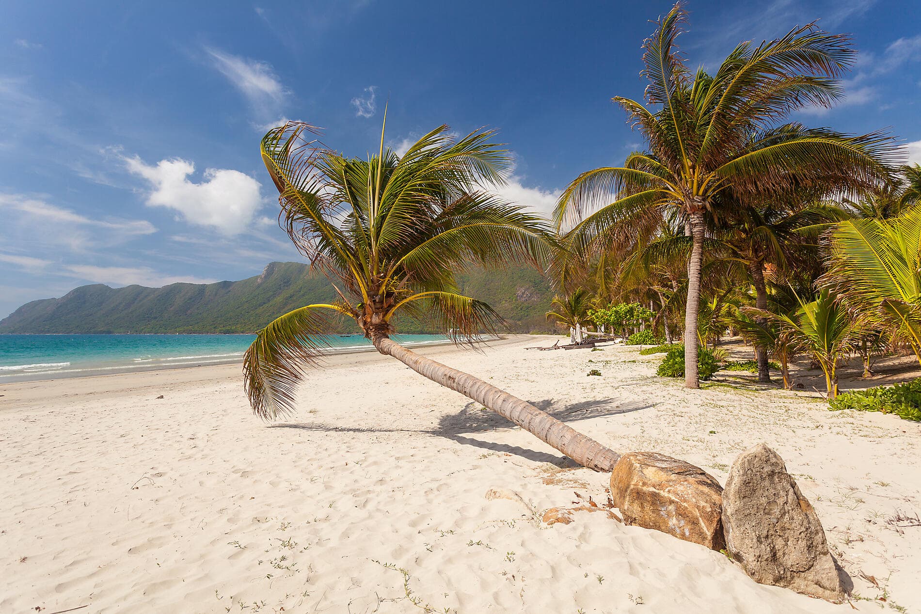 Vietnamese Shores 