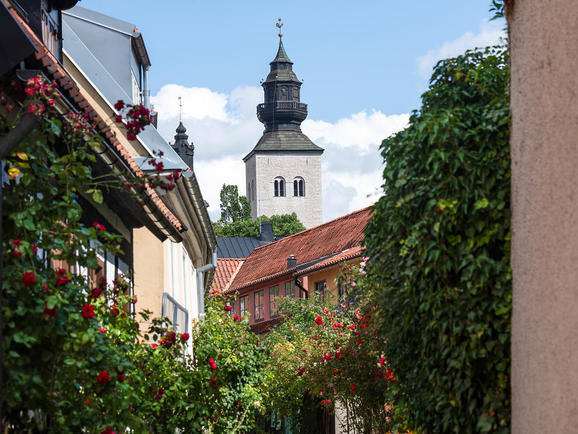 Baltic shores and Hanseatic cities