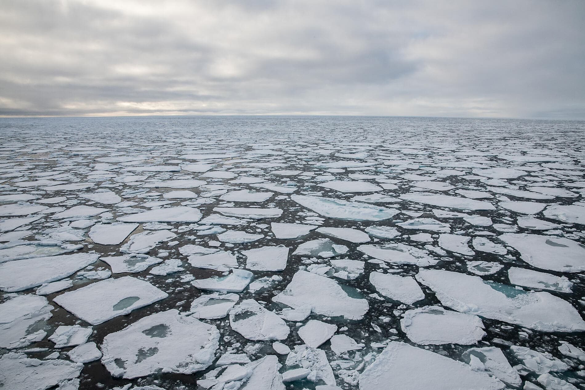 The Geographic North Pole and the east coast of Greenland  