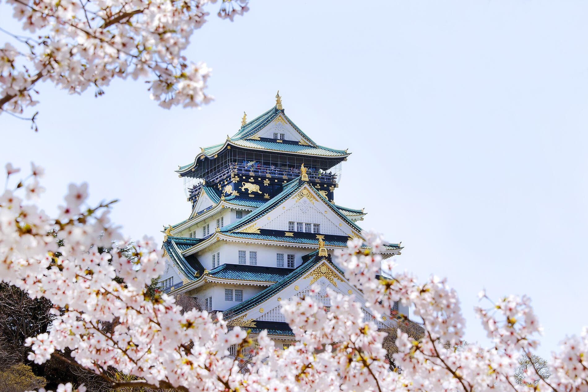 Japans Highlights 