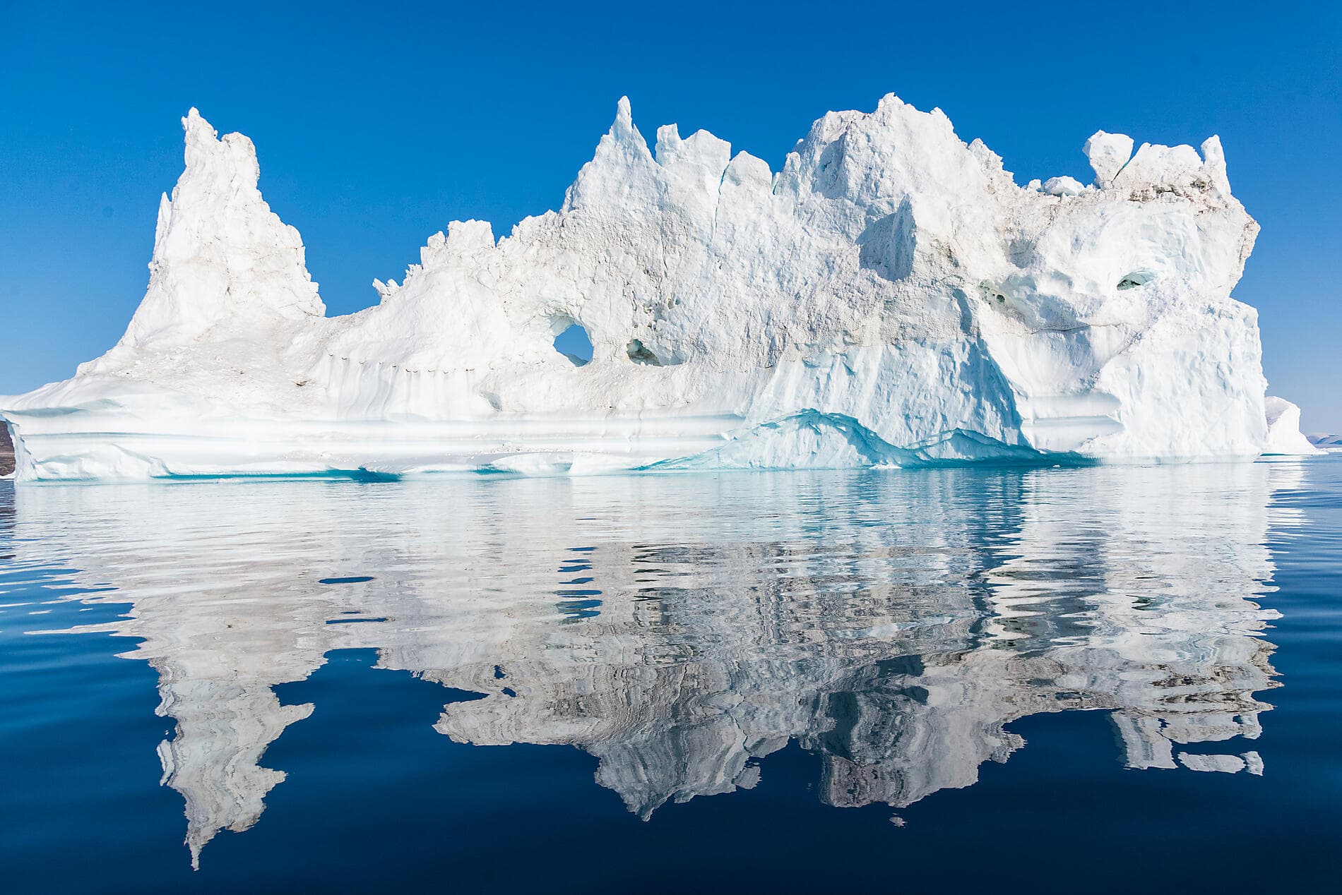 Wilderness from Greenland to the East Coast of Canada