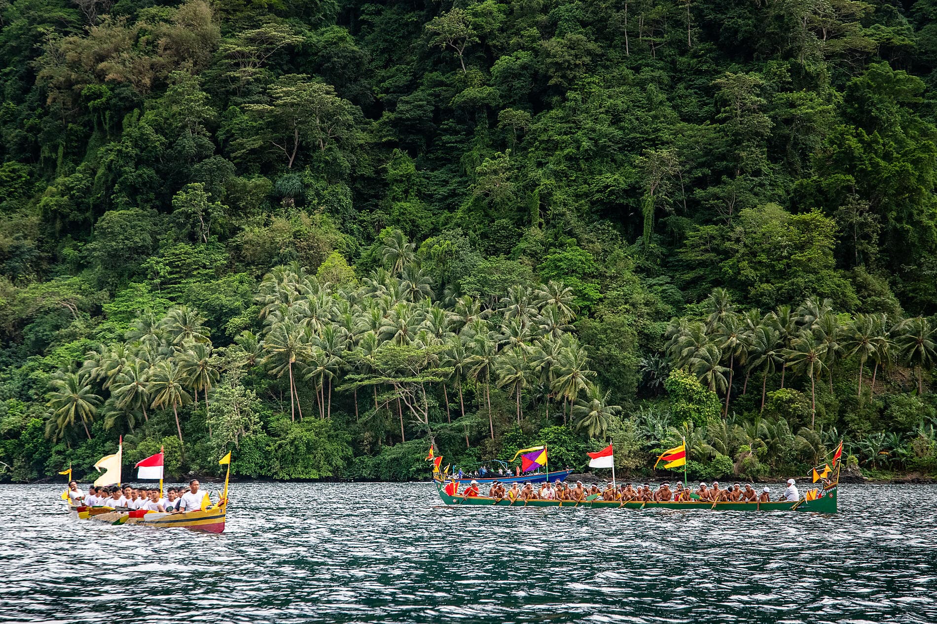 Exploring the Malay Archipelago 