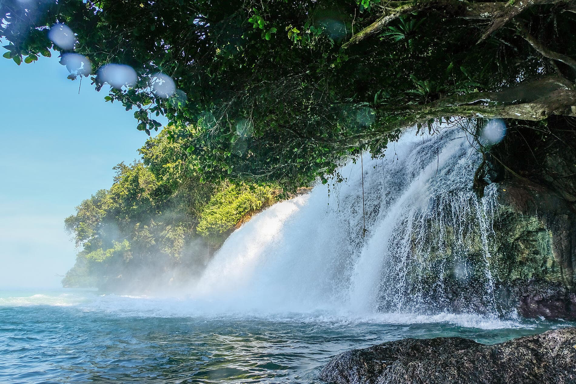 Exploring the Malay Archipelago 