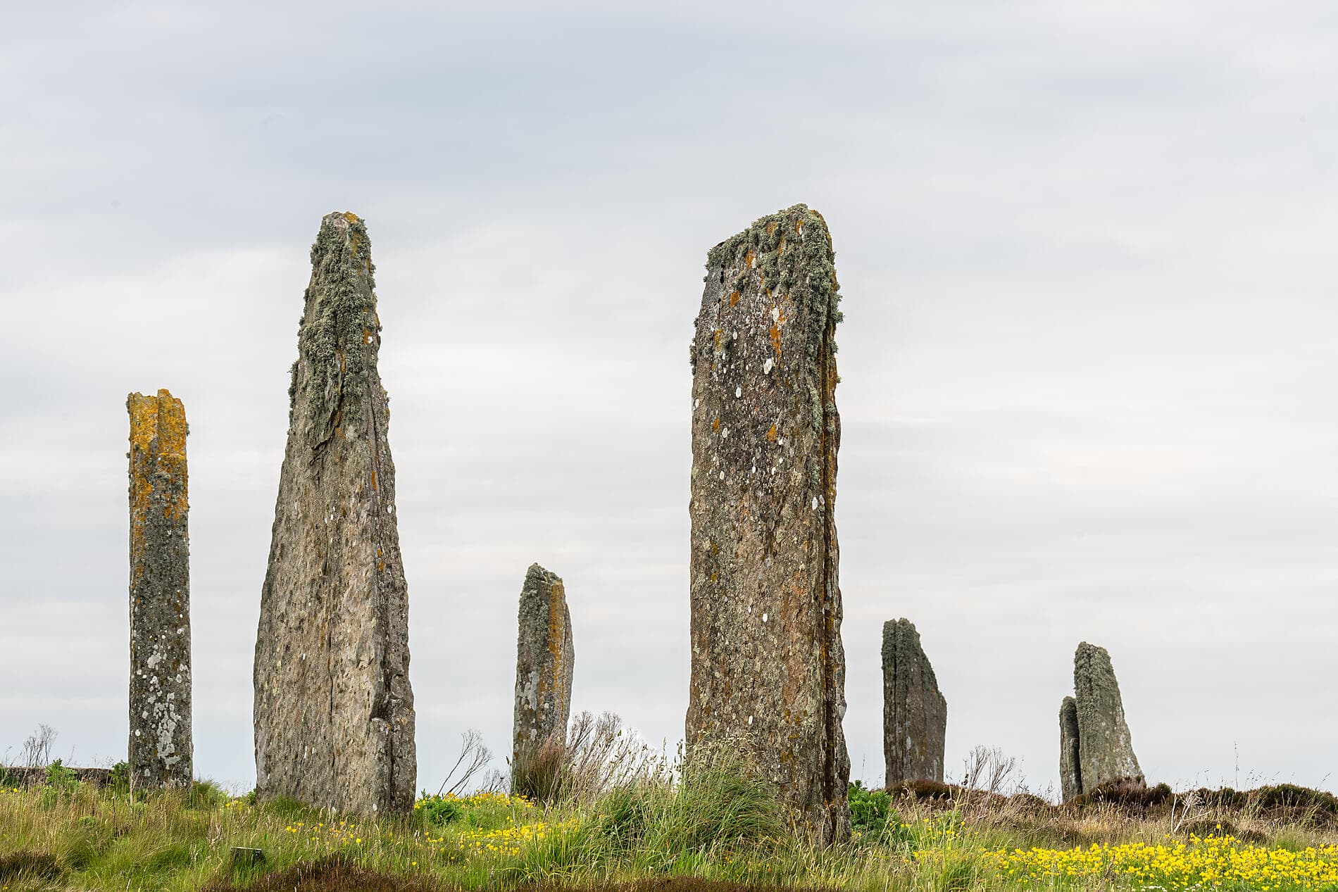 From Scottish Shores to Norwegian Fjords 