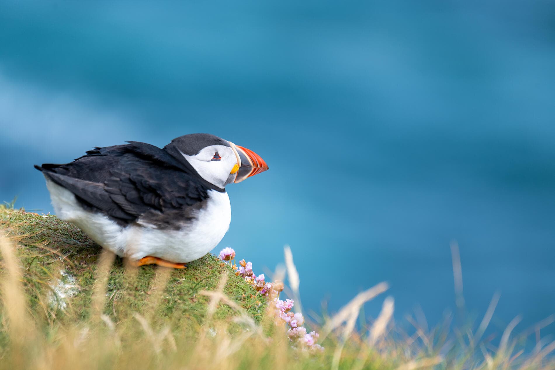 From Scottish Shores to Norwegian Fjords 