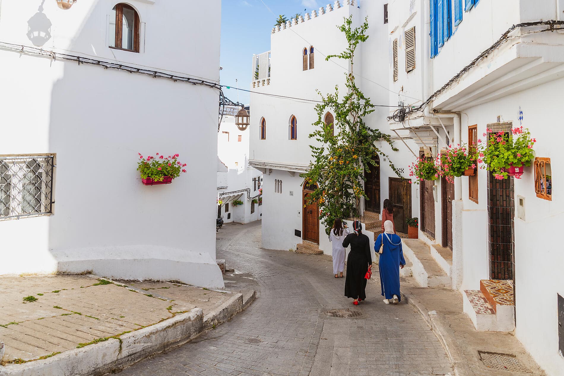 Atlantic Odyssey from the Iberian Peninsula to the Canary Islands 