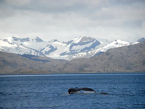 6 Nov 25 - Sailing in the Strait of Magellan
