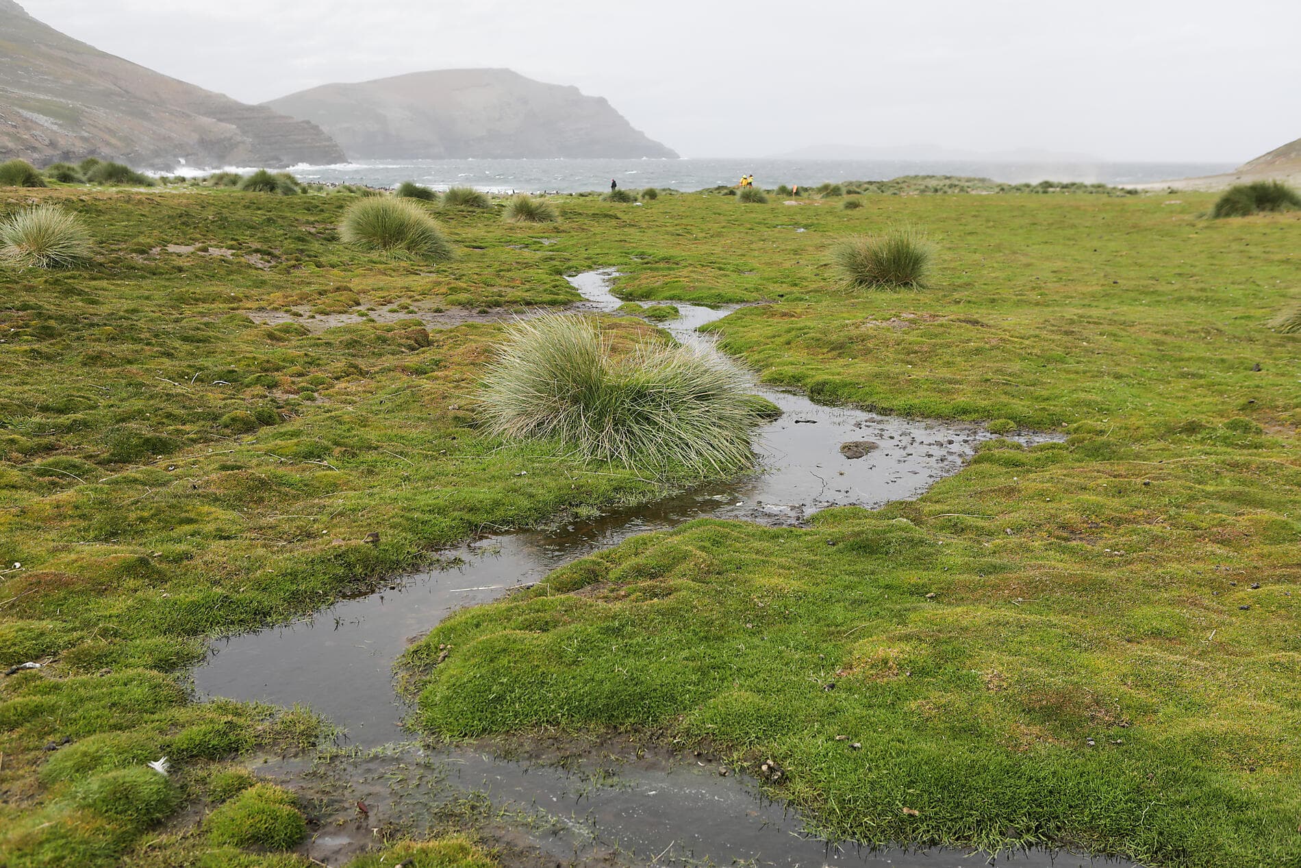 Falklands, South Georgia & Valdes Peninsula: in the Heart of the Wilderness 
