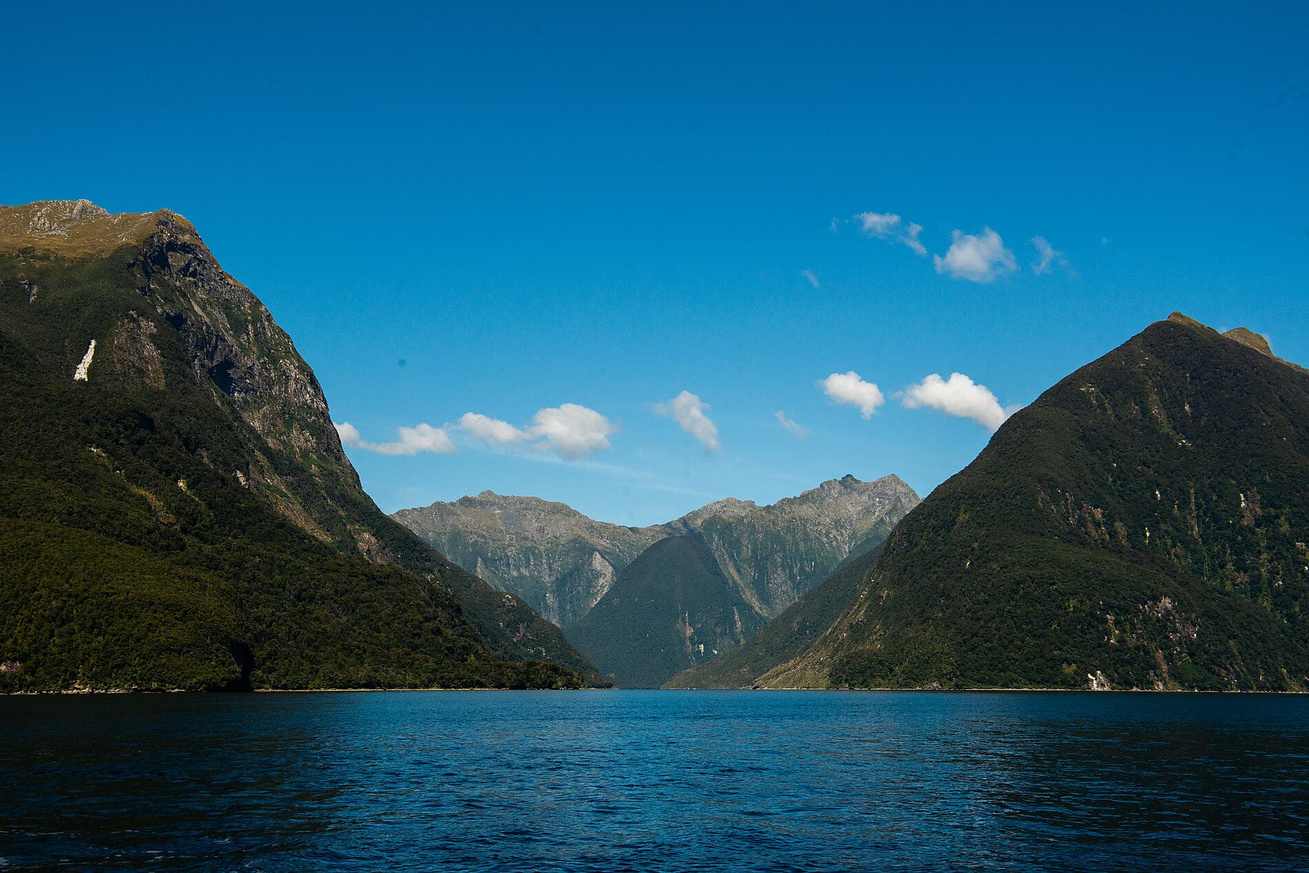 Expedition to New Zealand’s Subantarctic Islands  