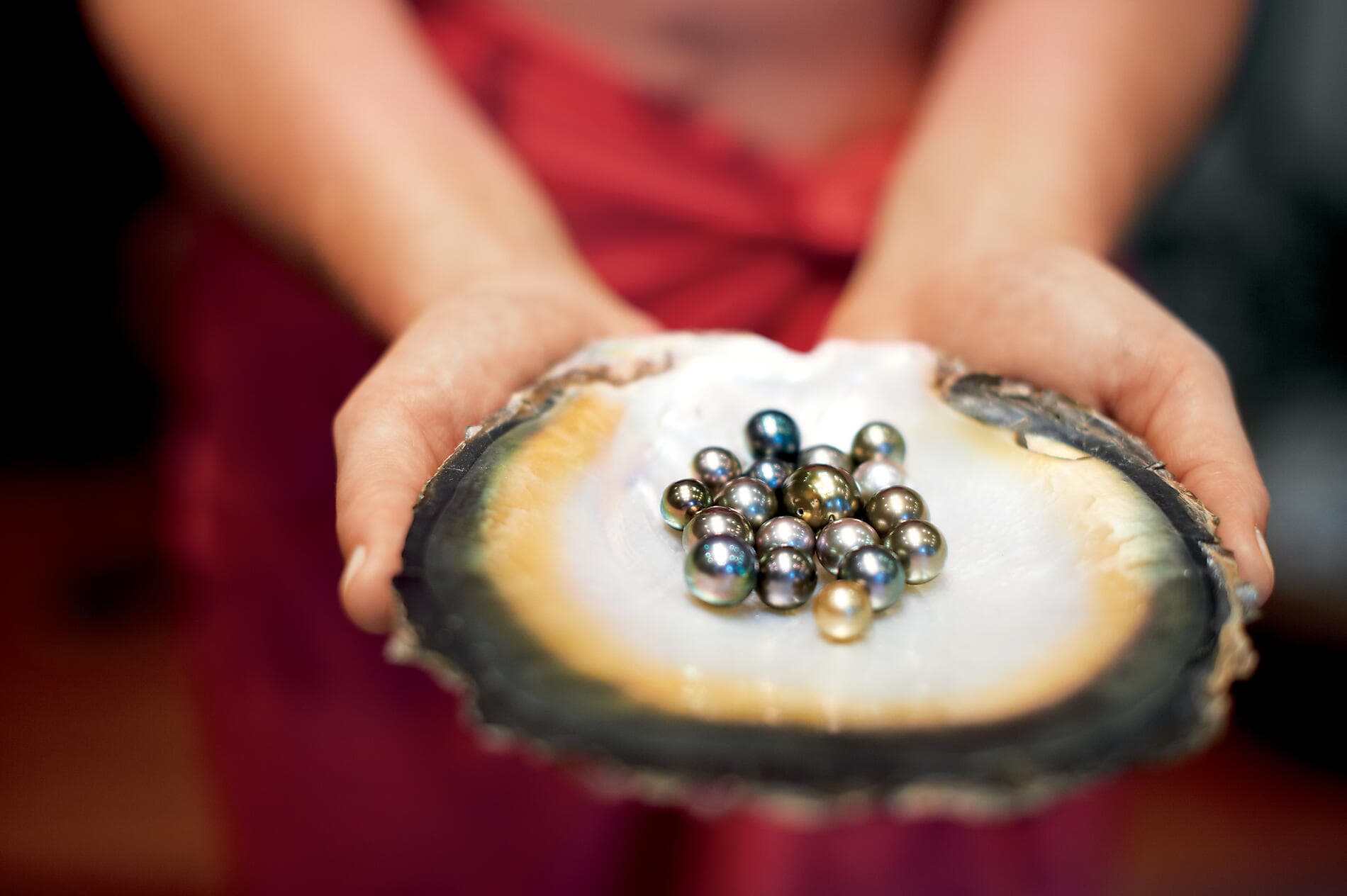 Pearls of the Society Islands 