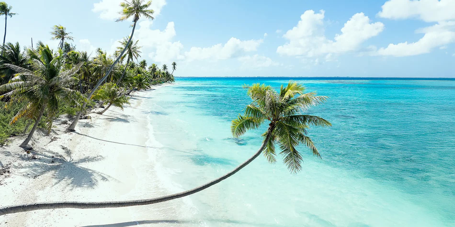 Society Islands & The Tuamotus 