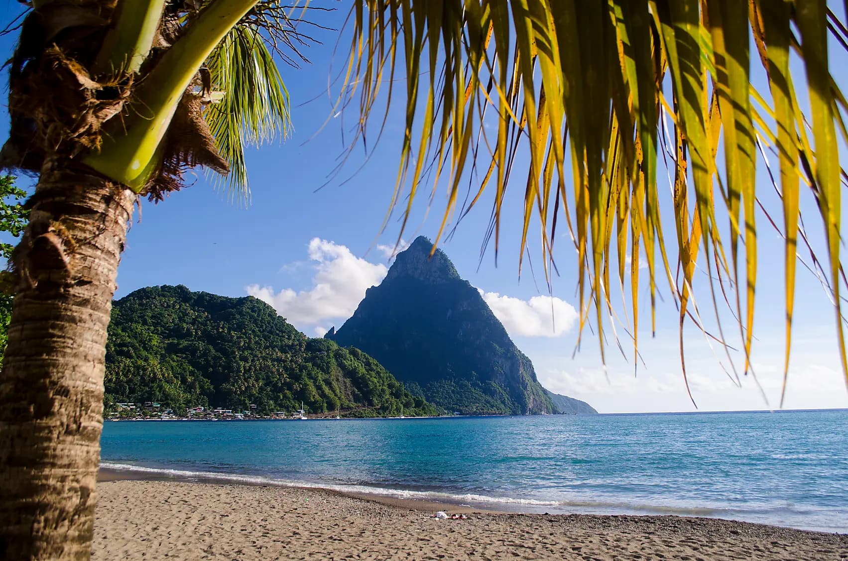 Pearls of the Caribbean 