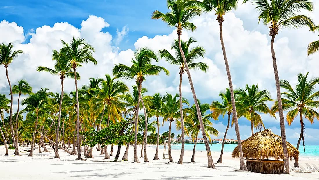 Secret treasures of the Lesser Antilles
