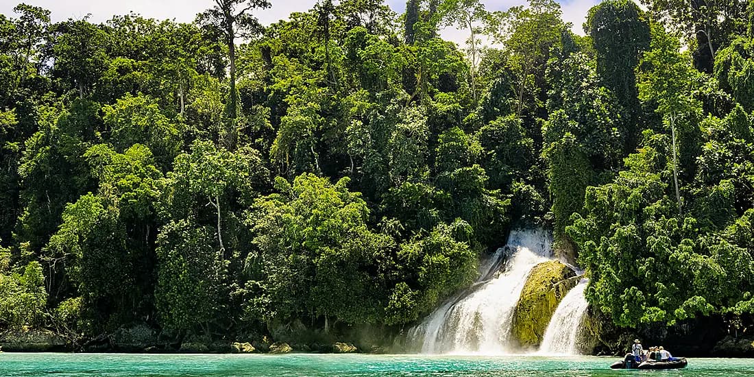 New Guinea Odyssey