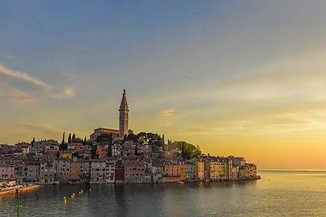 7 Aug 26 - Rovinj