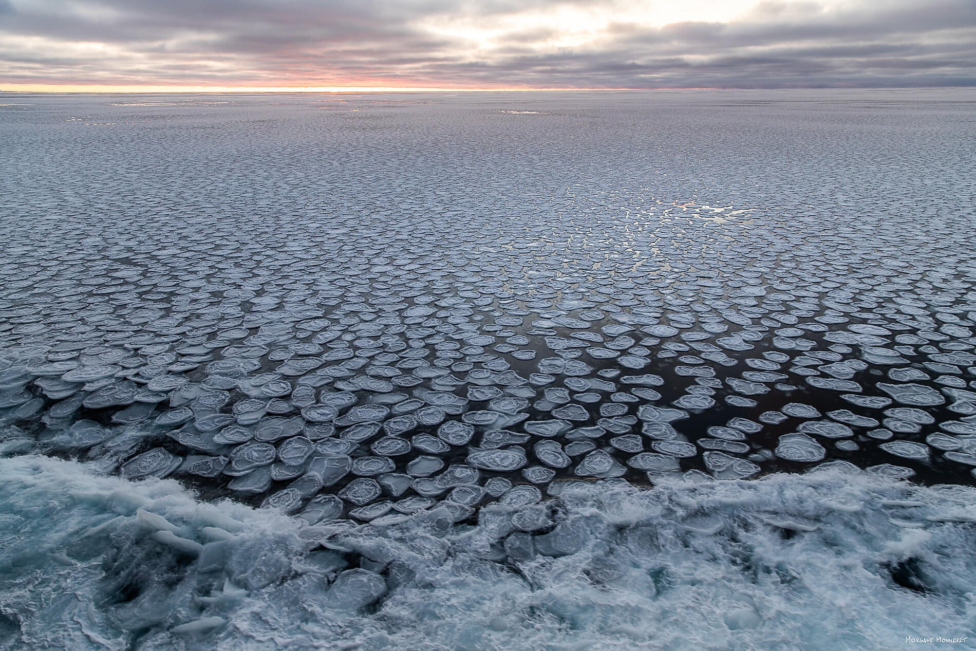 N°0425_StudioPONANT_Morgane Monneret.jpg