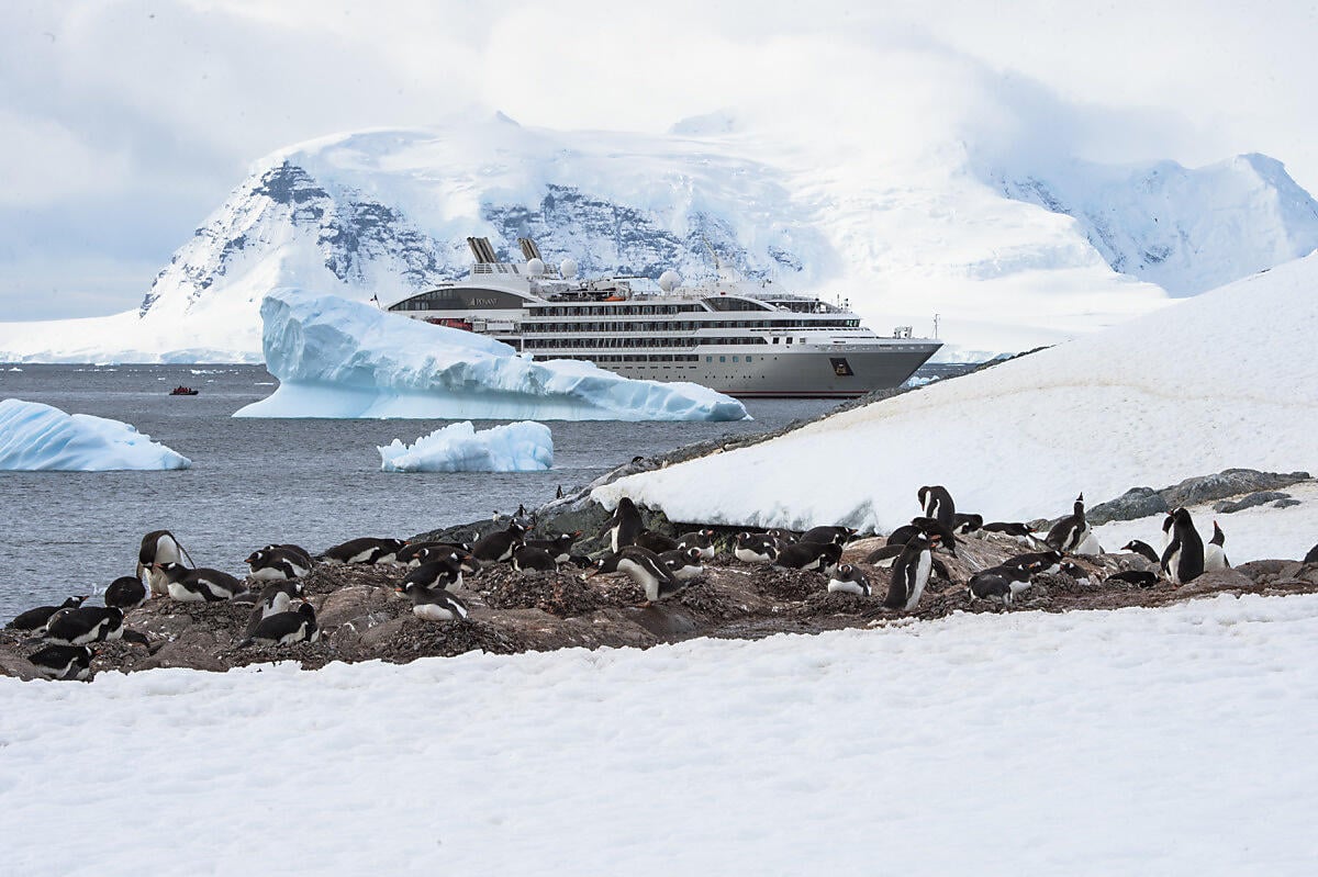 5041 petermann island-OK.JPEG