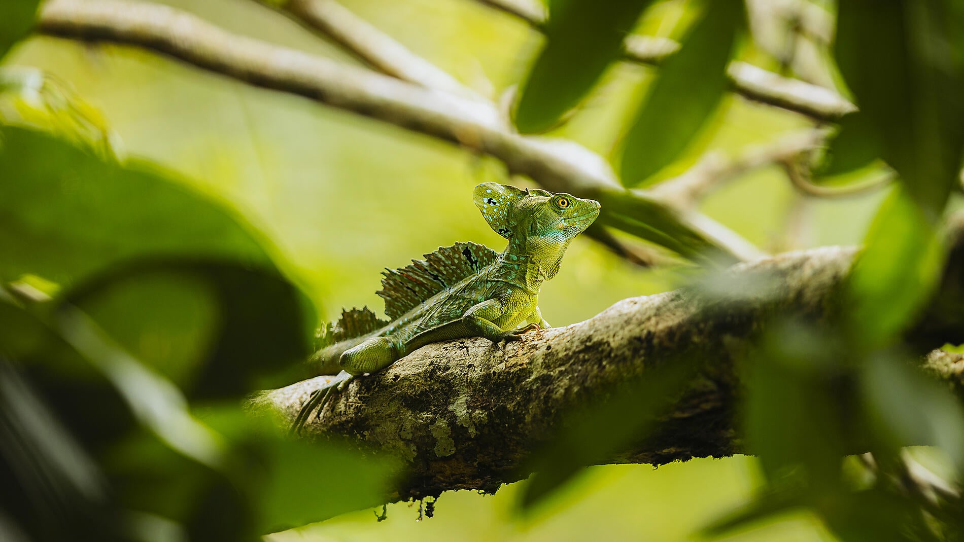 Pacific Coast of Costa Rica