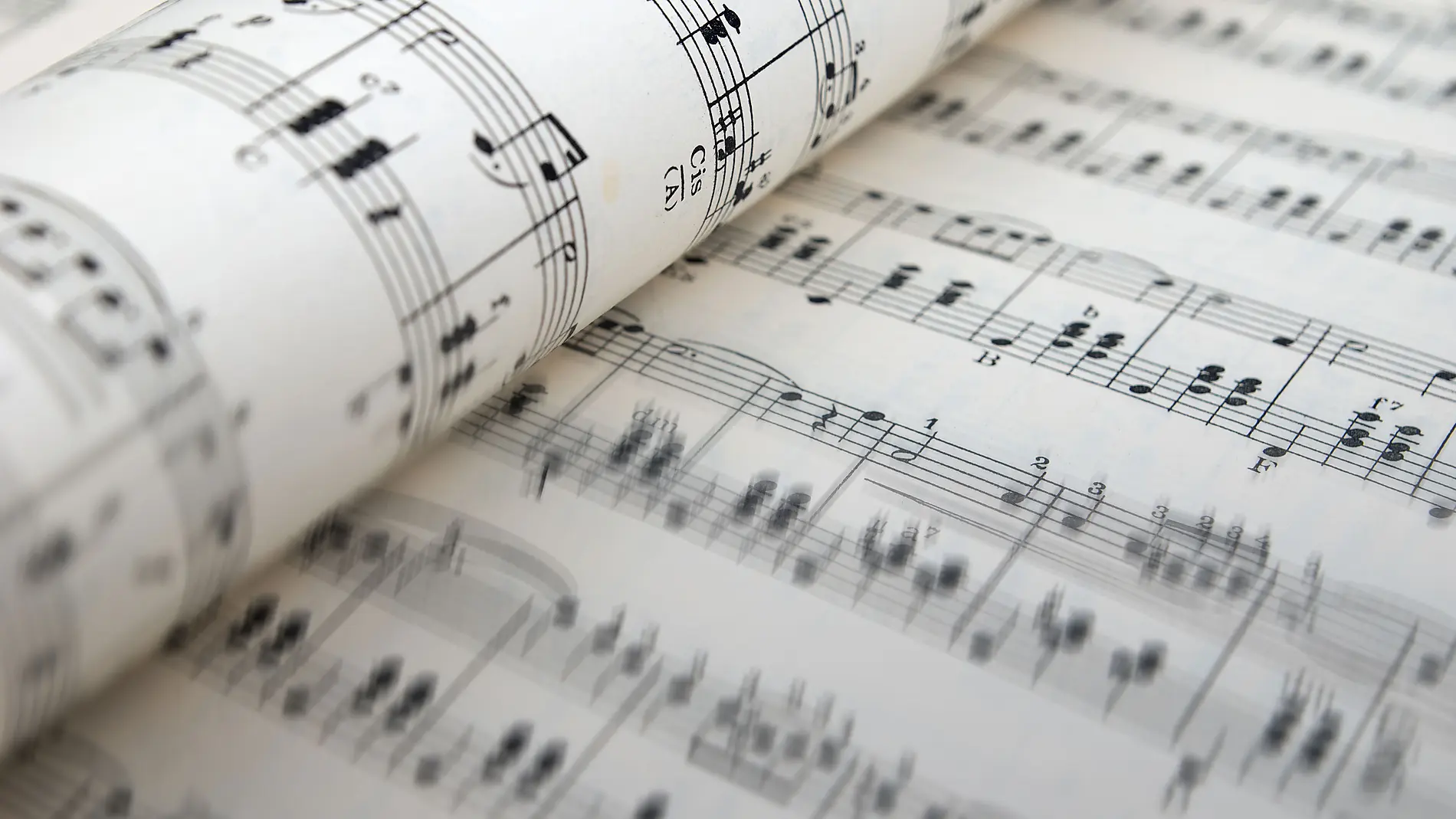 There is a little bit of Franz Schubert in all of us