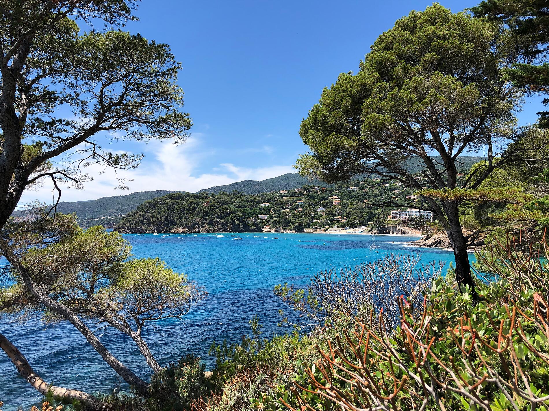 Rayol@Camille Morabito.jpeg