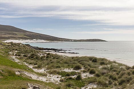 13 Mar 28 > 14 Mar 28 - Carcass Island